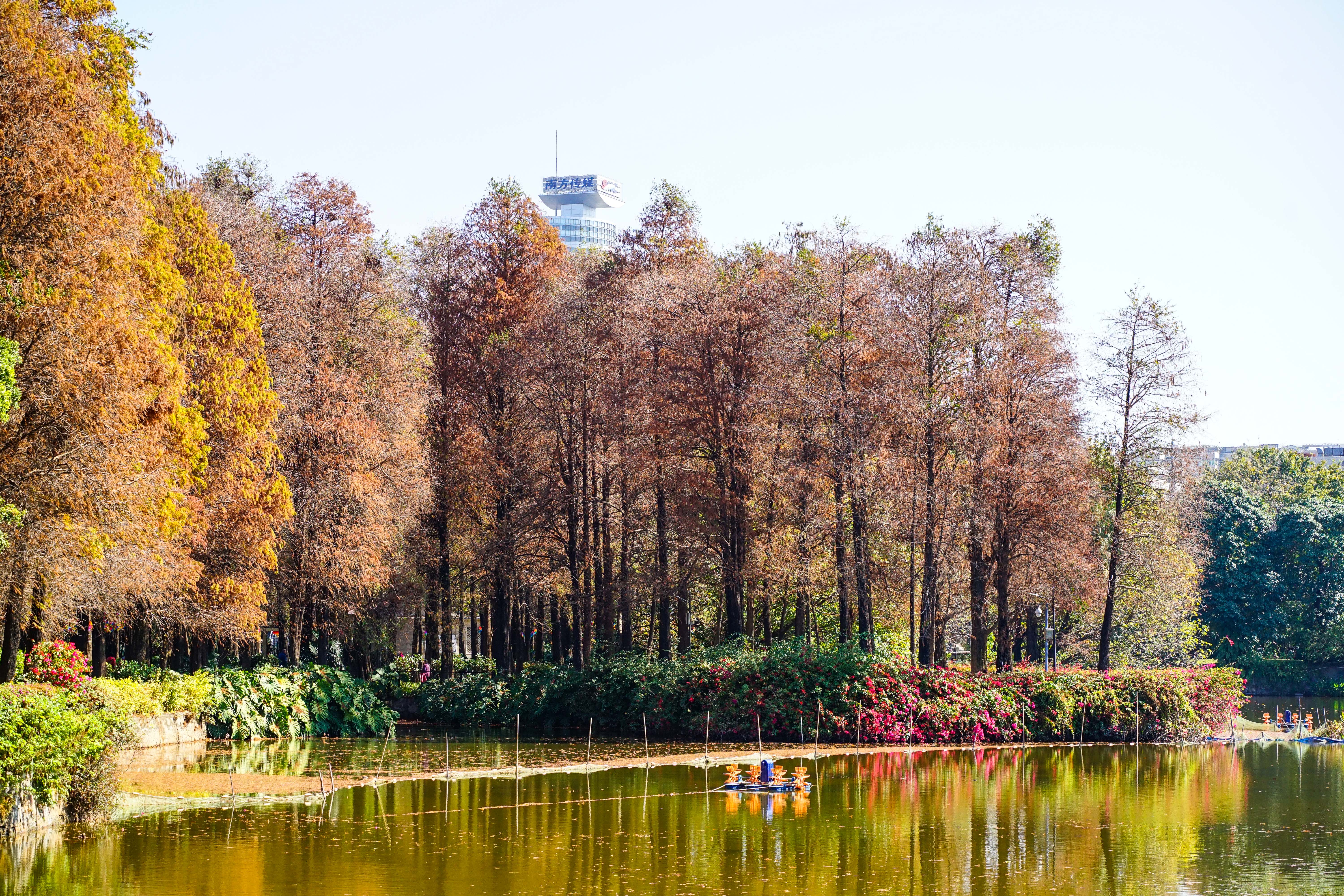 腾龙18-200f2.8佳能卡口,fe卡口f1.4副厂镜头推荐