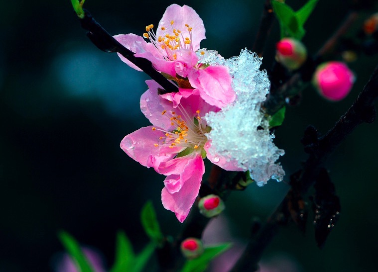 咏雪古诗原文韩愈,韩愈最经典的诗句