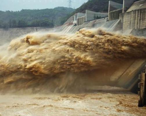 千岛湖出174斤的大鱼,千岛湖大泄洪真实视频