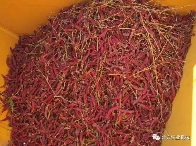 不止玉米机，中农博远百花盛开，2019中农博远新品等着你！