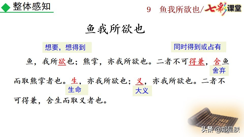 九年级课文鱼我所欲也课文图片,九年级下册第九课鱼我所欲也赏析