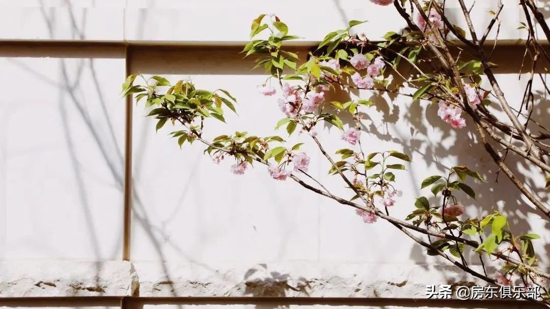 郑州豪宅地图,郑州楼市豪宅排名前十