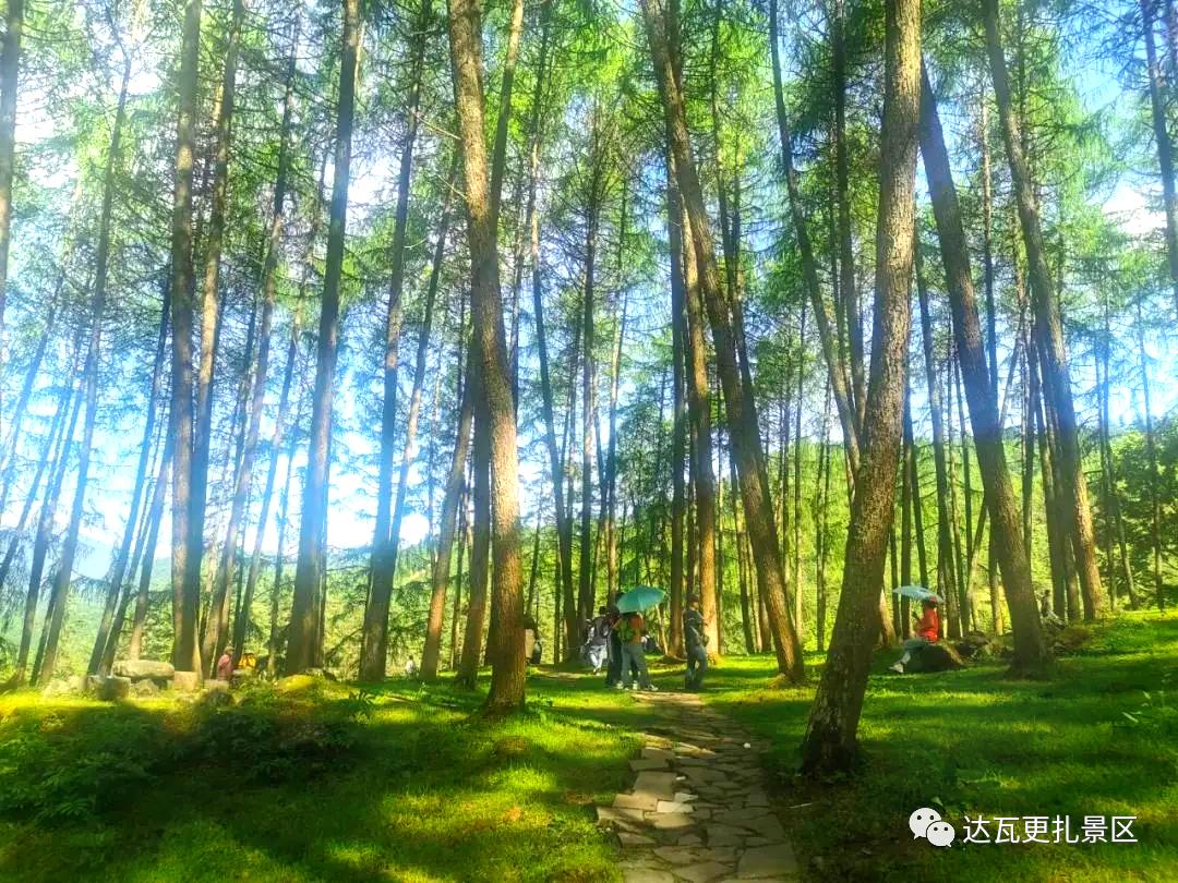 「达瓦更扎、神木垒」桃李花开感谢恩师，老师专属福利速领取