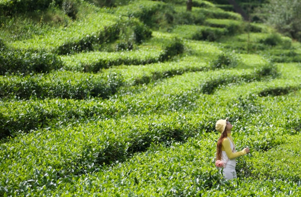 腾冲瑞丽芒市之旅,大美腾冲瑞丽游