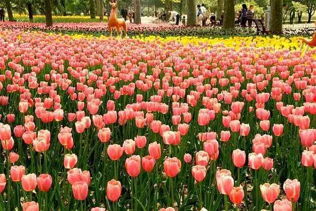 等疫情结束了一定要去西安看看,等疫情结束了一定要去趟西安