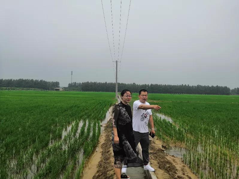 决胜小康奋斗有我主题,决胜小康奋斗有我