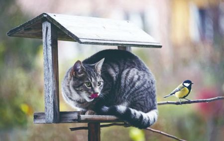 为什么萌新的世界进不去,为什么萌新世界那么难进