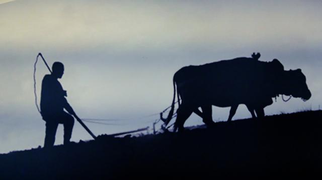 闯关东历史文化,闯关东记录了山东人的历史
