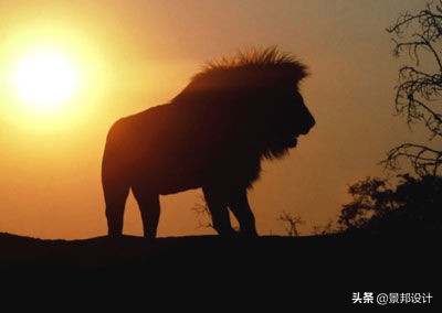 20个经典儿童小猫的小故事,20个经典小故事大道理小学生