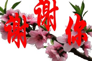4月1日愚人节的祝福语,4.1日愚人节怎么来的