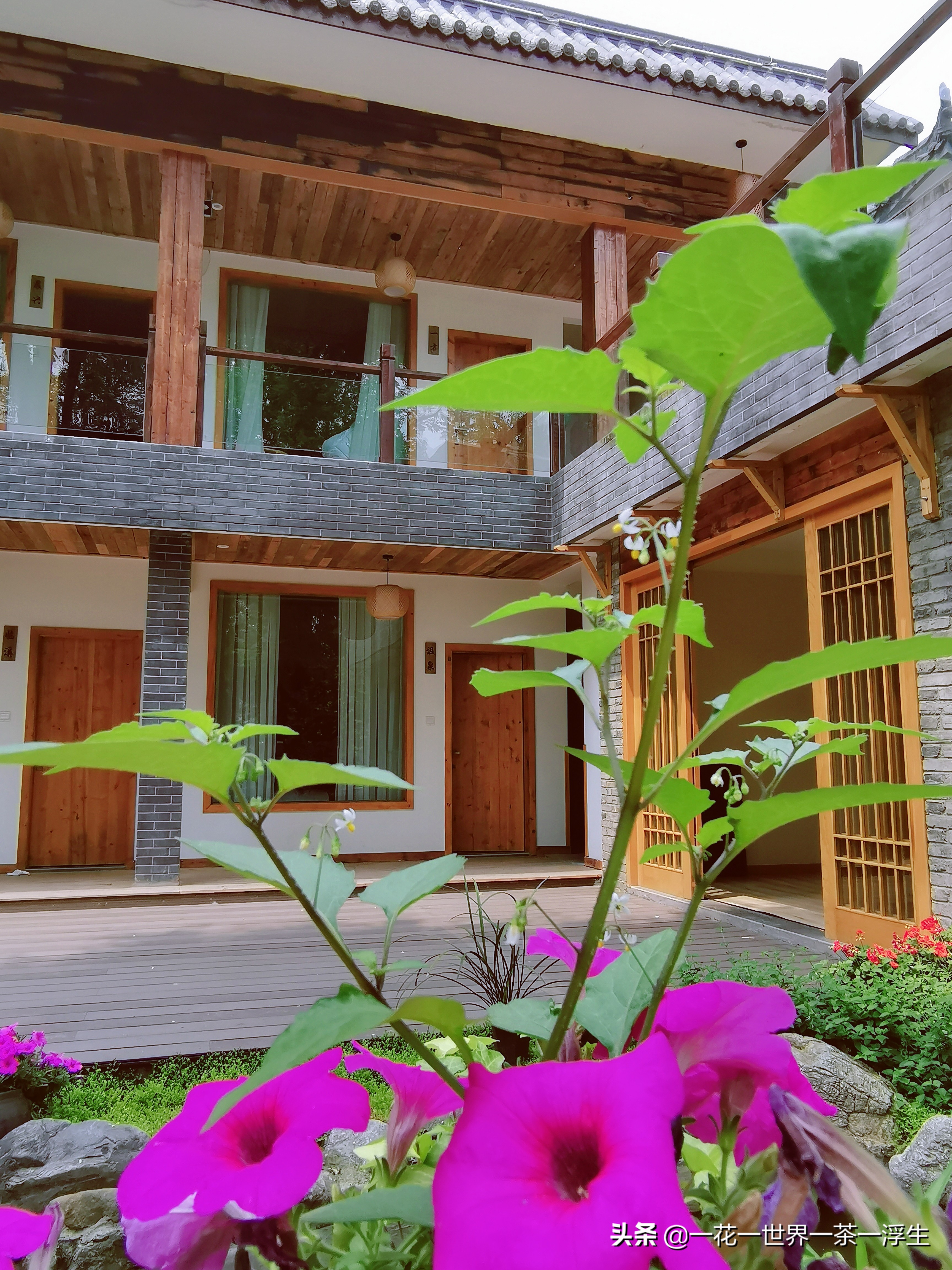 寻找巴适的成都小院（2）