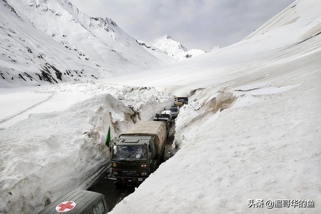 拉达克地形,拉达克军总兵力