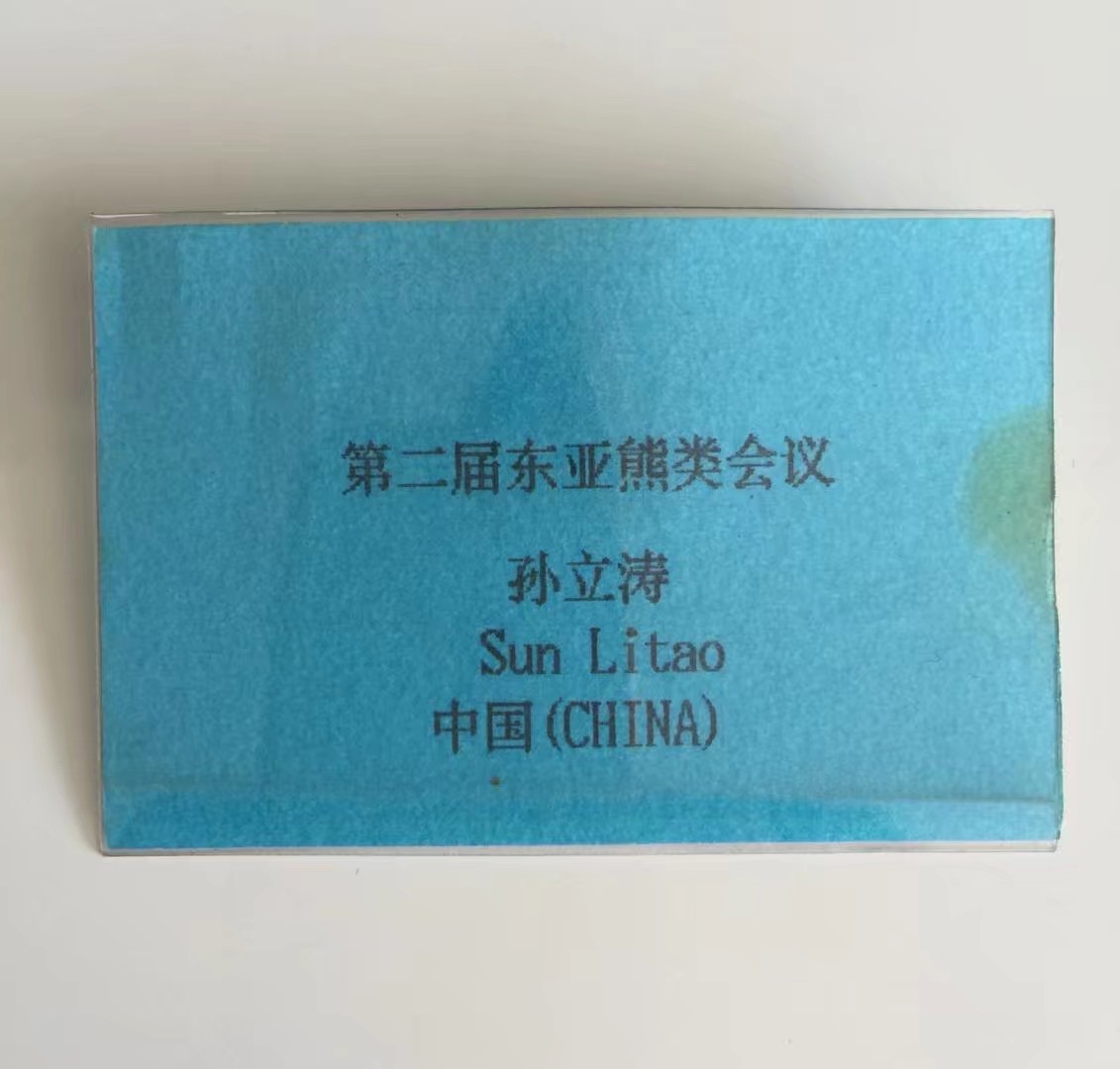 伊春林区往事,伊春林区往事1982年