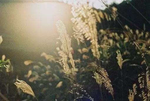 尊严教育,对孩子的教育是人生最大的回报