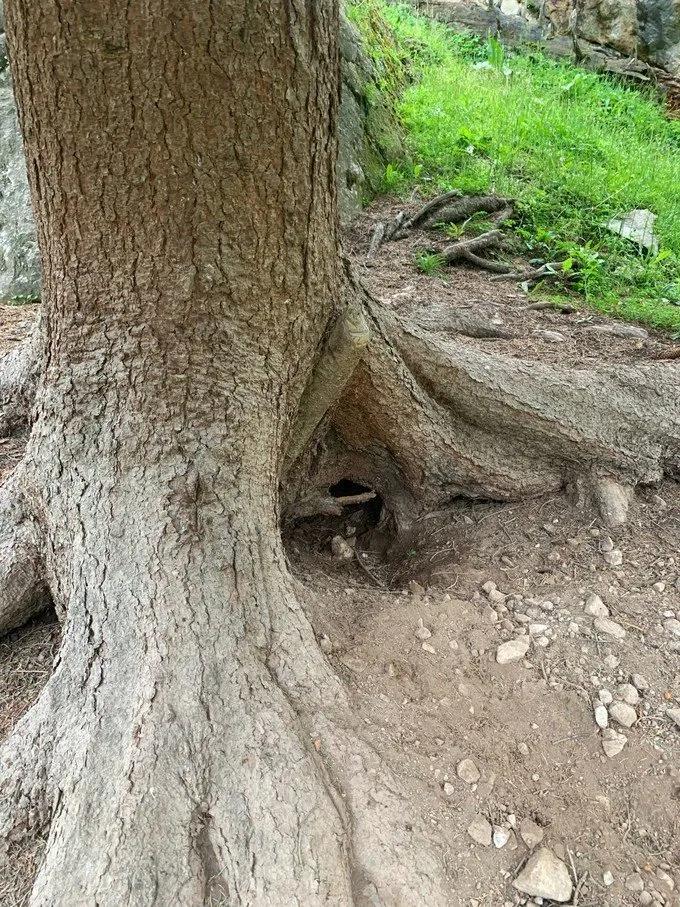 6月徒步乌孙古道骑马穿越,几月去乌孙古道徒步合适