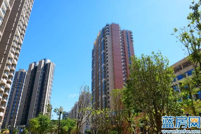 一中分校龙岩,龙岩一中分校附近楼盘