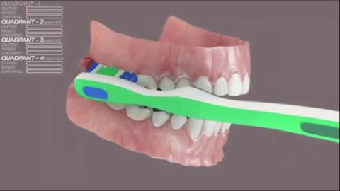 刷牙漱口用牙线洁牙护龈促健康,刷牙保护牙小妙招