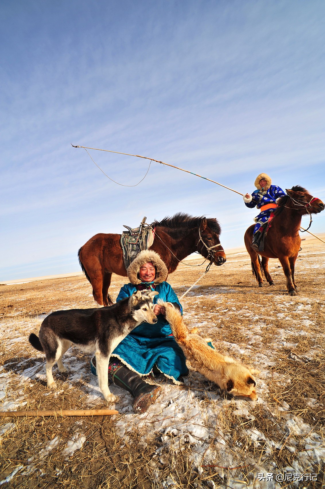 -30℃草原生活：羊群抱团取暖，马背全是冰，牧民坚守自然规律