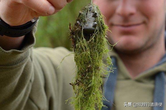 欧鲤钓钓组篇,欧鲤钓组和飞德钓组