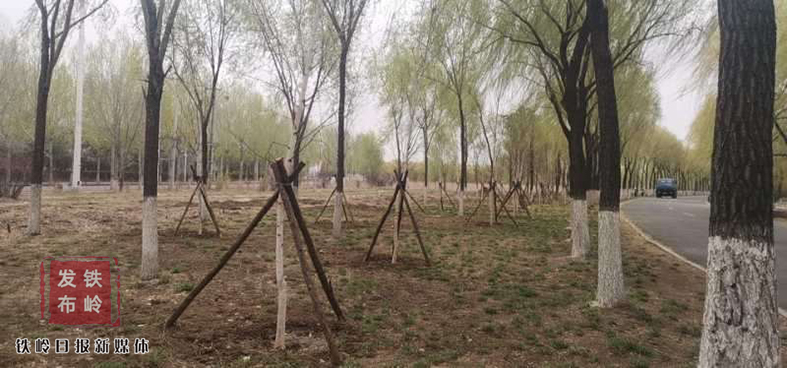 中国铁岭市凡河新区,铁岭凡河新区规划