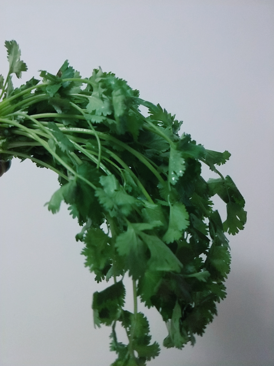 助消化的蔬菜有哪些,想促消化喝什么好