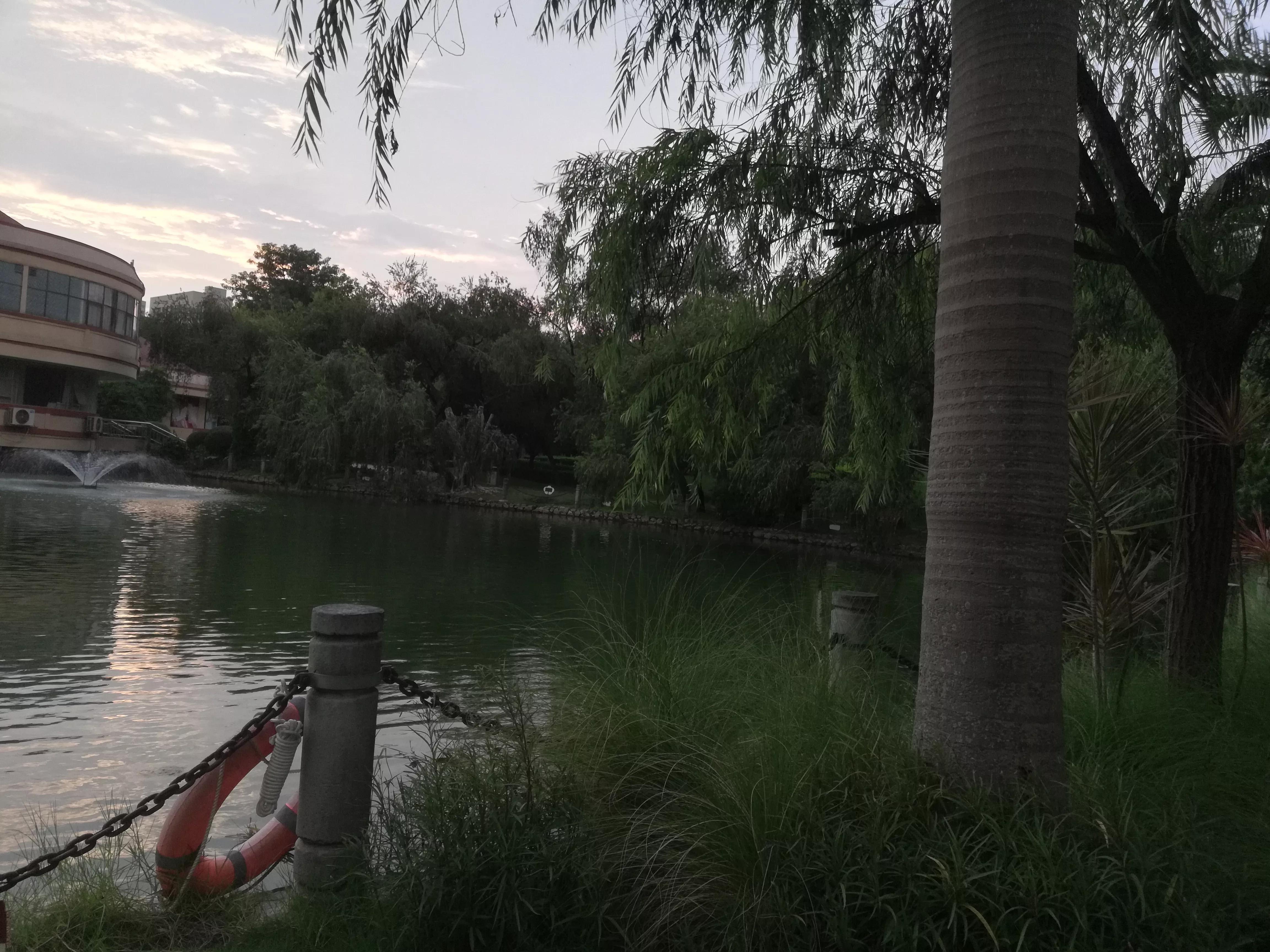 桂花香秋天的味道,南宁青秀山桂花盛开