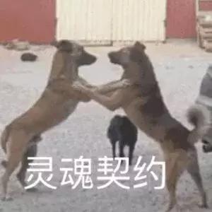 骞村害鐖辩敤绮惧崕娴嬭瘎,鍥炶喘100娆＄殑浜у搧