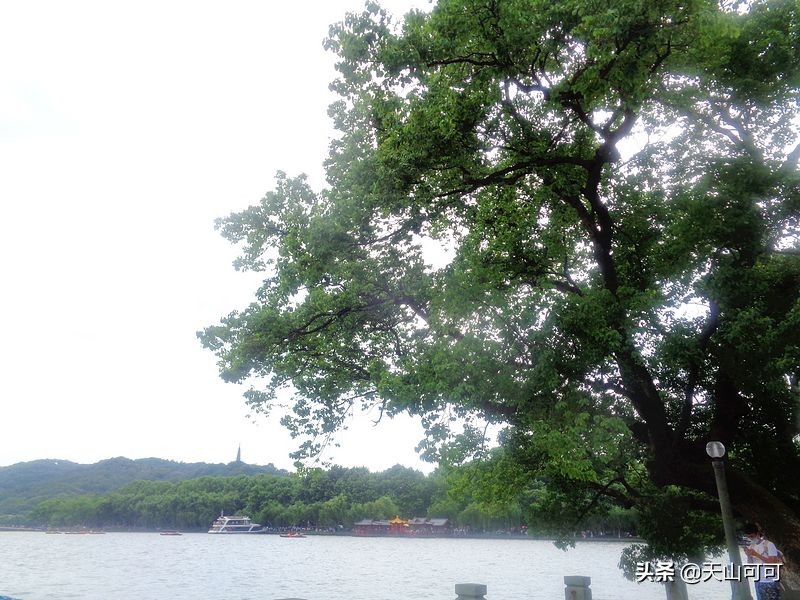 西湖一日游西湖景色到底有多美,再说一遍西湖之美