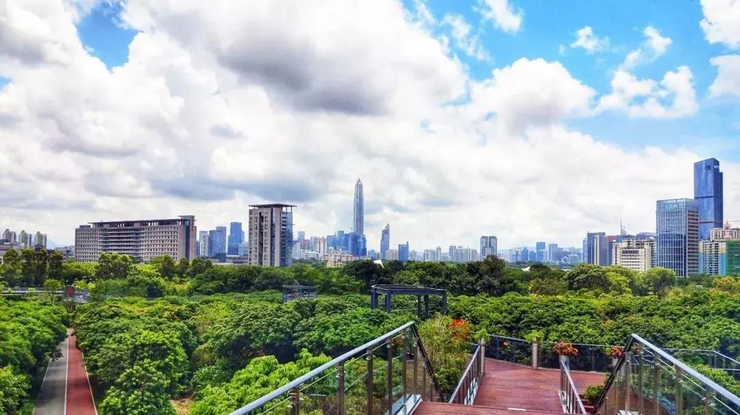 春日赏花深圳,深圳春游赏花