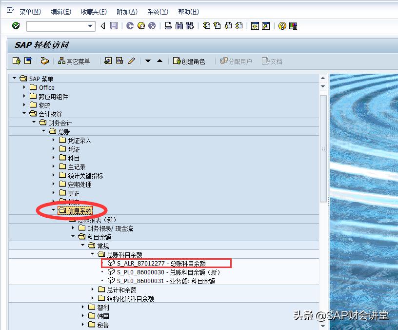 sap科目余额表怎么导出明细,sap中查询物料明细账