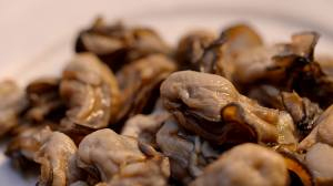 各种干海鲜贝类泡发方法,六种海鲜做法大全视频