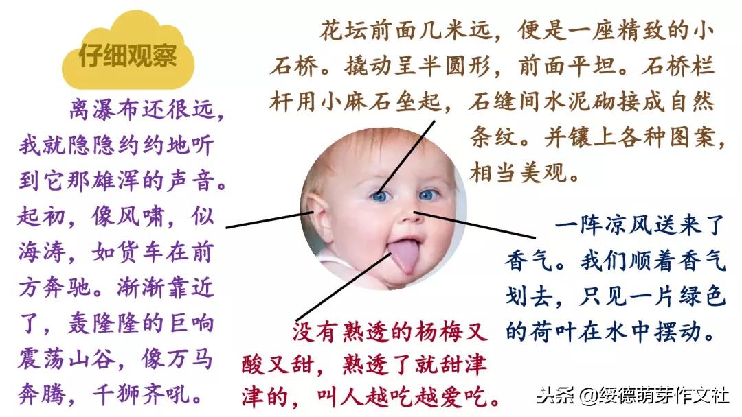 三年级上册语文这儿真美作文200字,三年级上册语文习作这儿真美