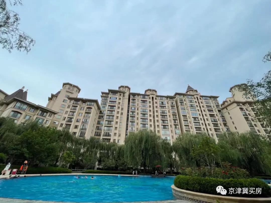 朝青2018年价格,朝青价格走势