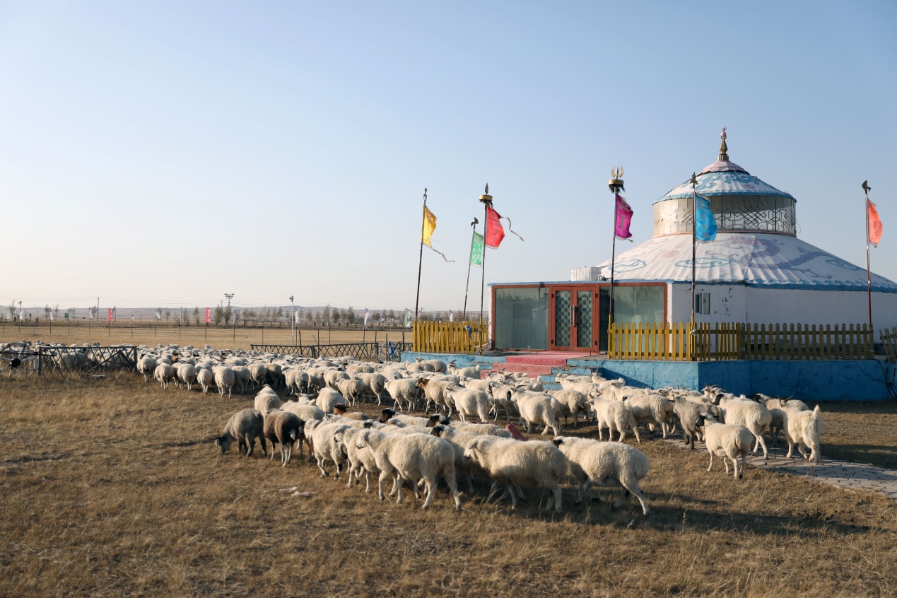 日行八百公里：满洲里“火箭哥”的G10号公路故事