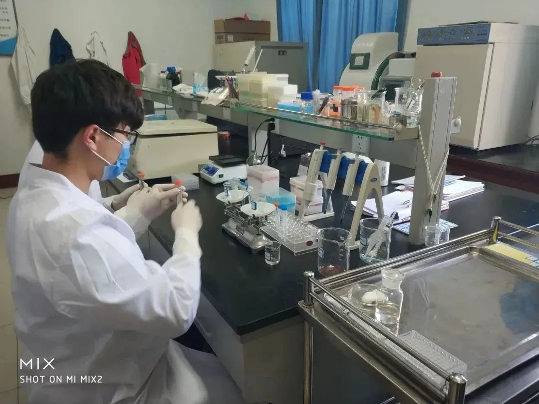 徐州生物工程职业学院2024年单招,徐州生物工程职业技术学院升本科