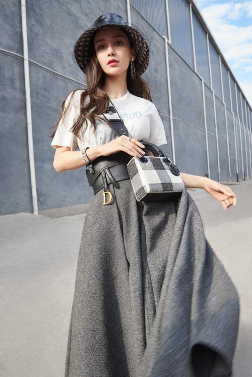 ladydior手袋翻盖设计,ladydior手袋