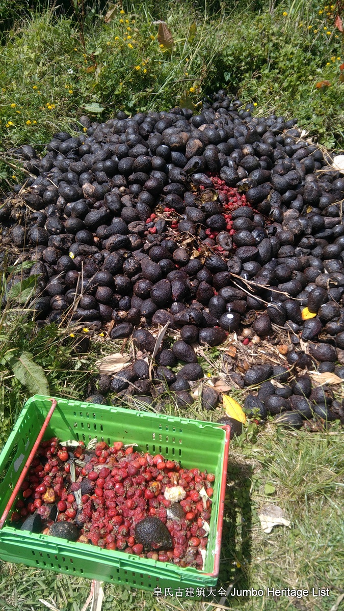 第9回：繁华都市冰冷大厦，共产庄园无法企及