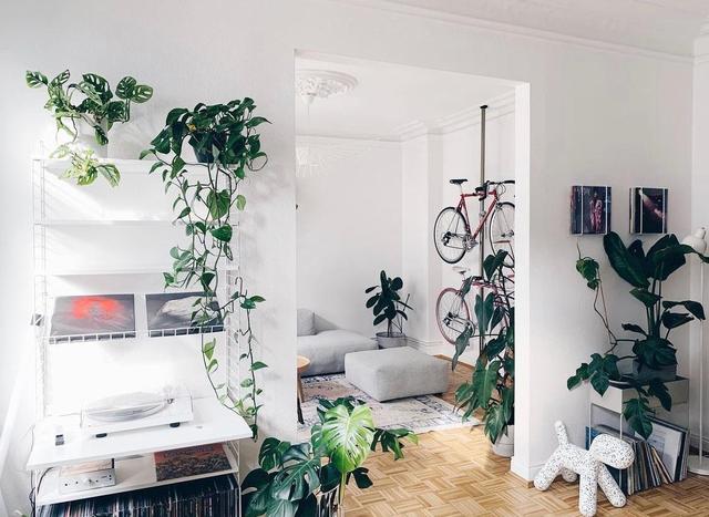 德国夫妇的二人世界:从无到有,全屋简约精致,治愈许多人