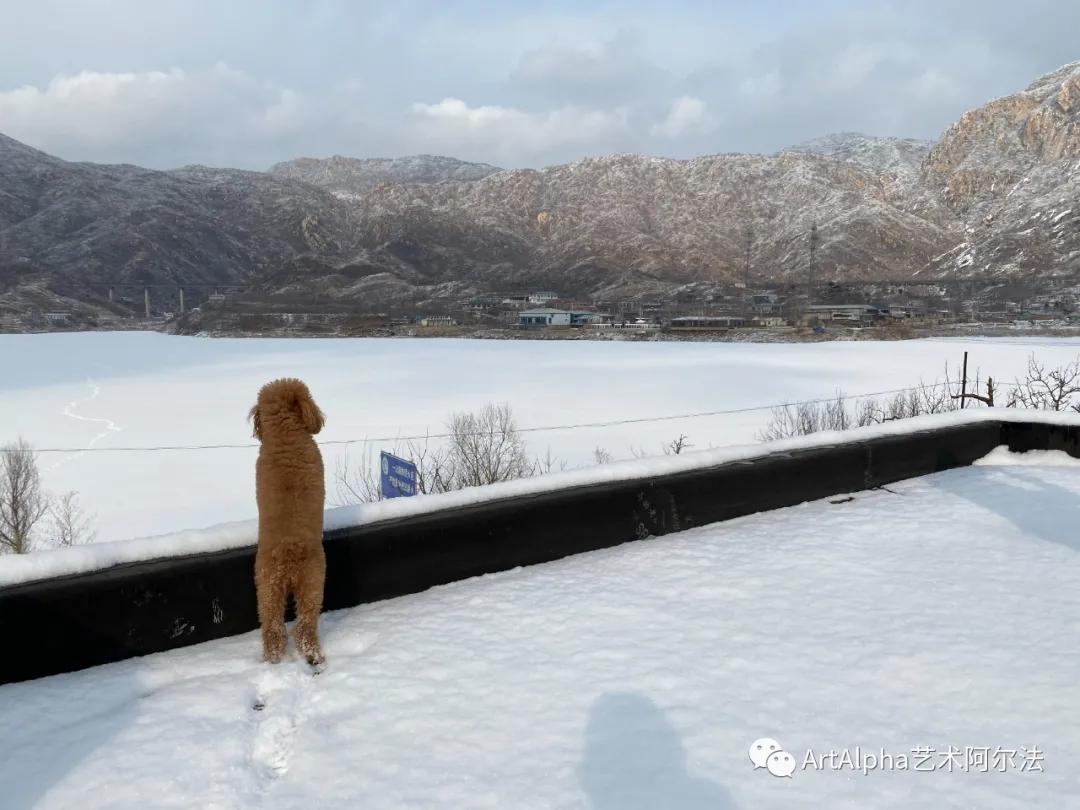 贾廷峰作品,贾廷峰水墨作品