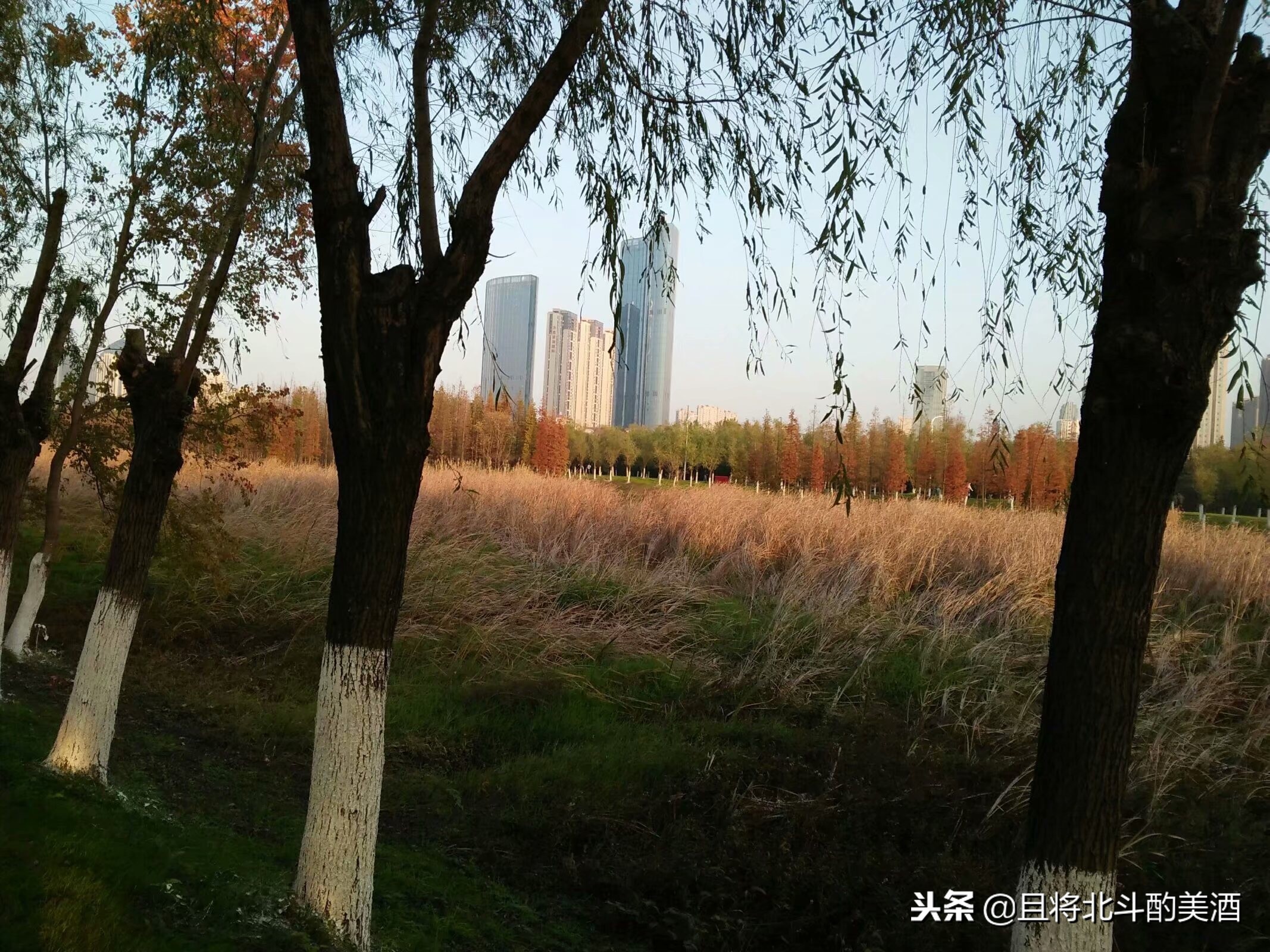 奥巴马邻居卖房的故事启示,奥巴马邻居卖房子背后的营销启示