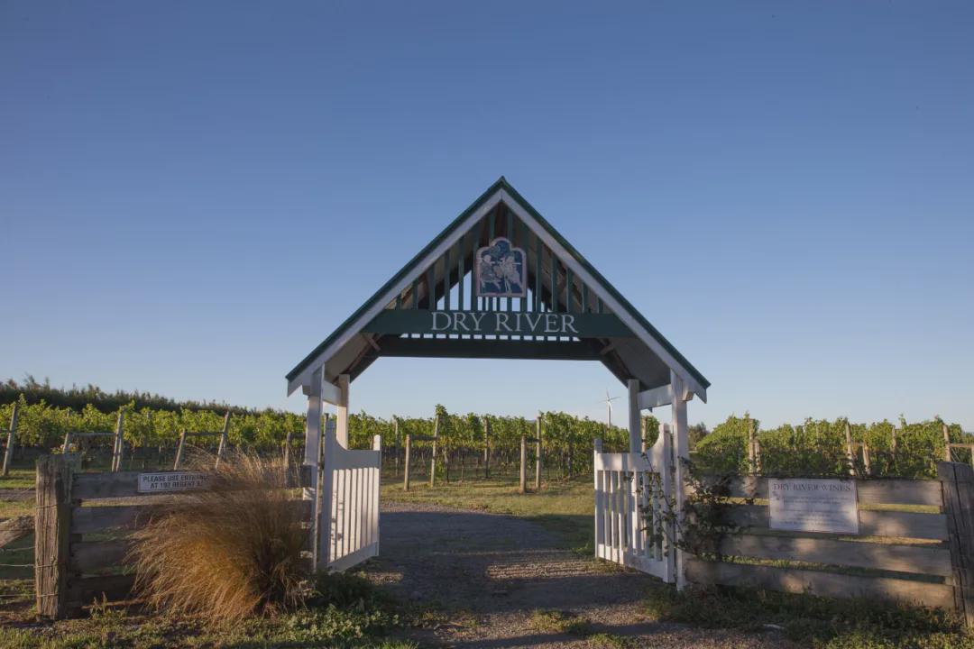 勃艮第黑皮诺好喝吗,勃艮第最顶级黑皮诺多少钱一瓶