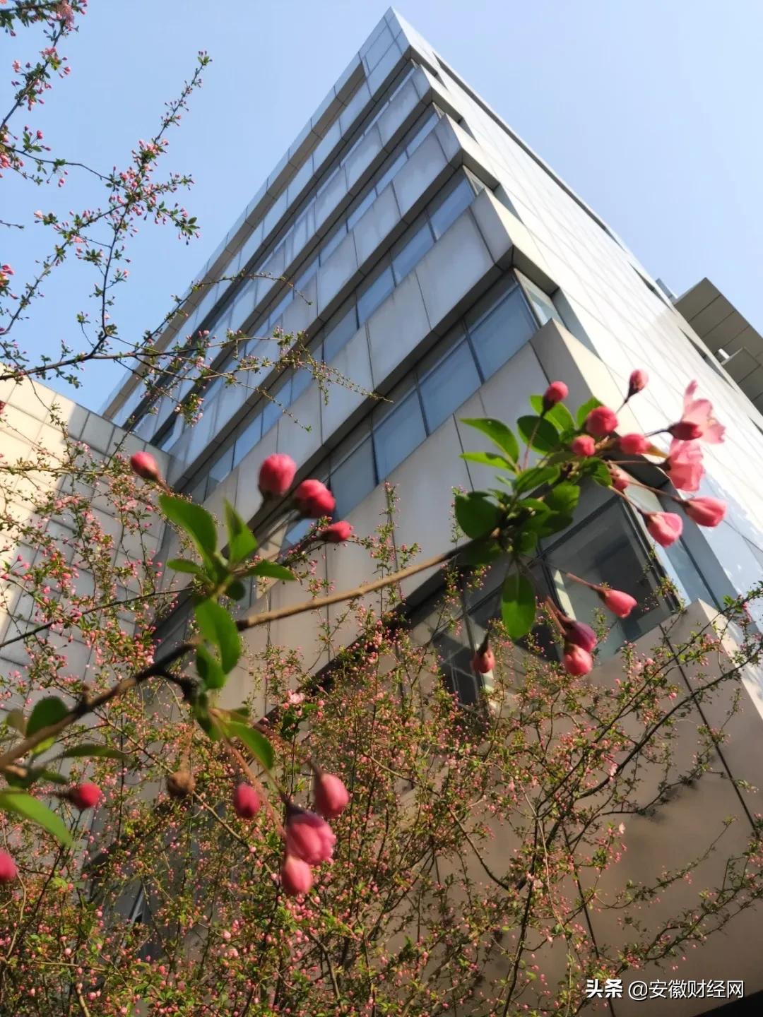 花都开好了现场完整版,花都开好了合唱合拍