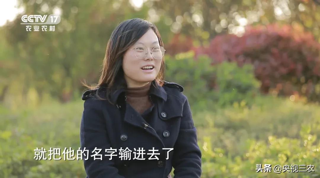 他放弃高薪回村干这一行，旁人不理解，如今大获成功