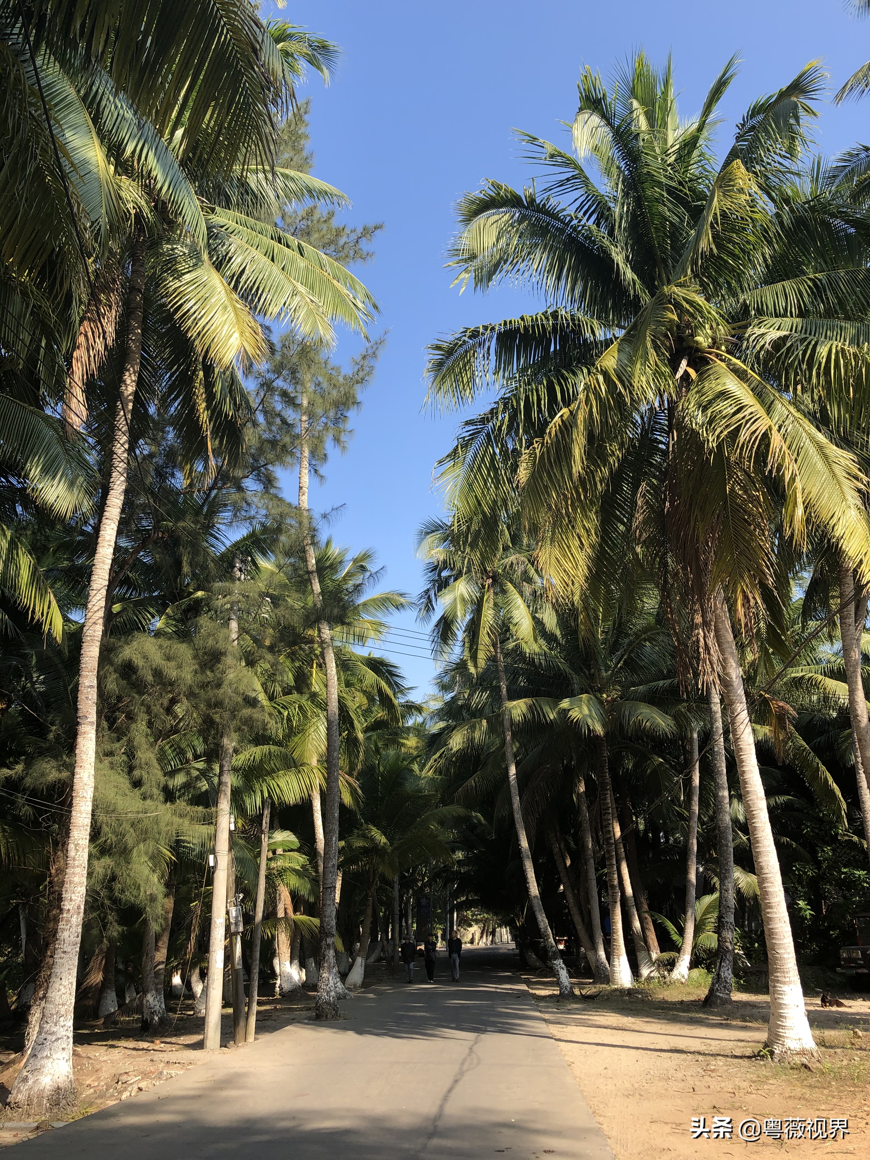 海南岛文昌自驾游攻略,海南文昌椰林湾自驾游攻略