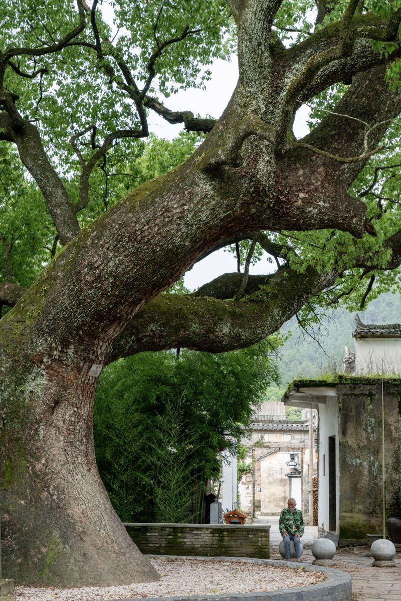 臻选人文度假品牌开山之作，惊艳问世，与月途看尽婺源千面之美