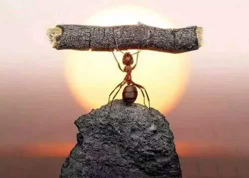 心理学：当你处于人生低谷时，做好这5点，会越来越强大