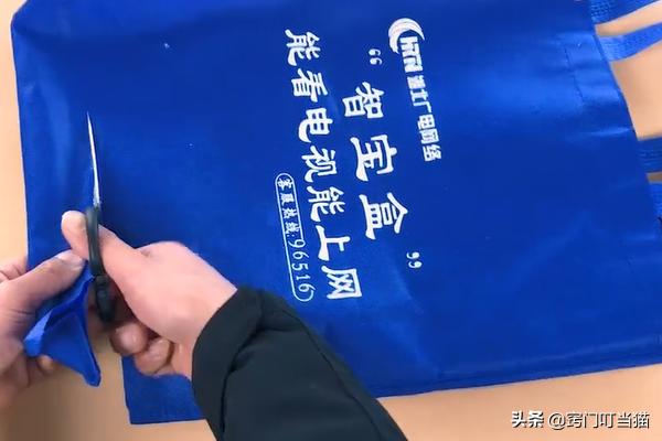 衣服布袋子别扔了,剪几刀放在家里有大用处,朋友看见都想要