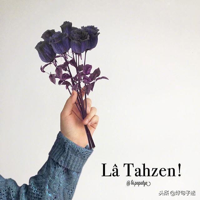 短小精悍的优美句子10-15字,精辟短小的句子