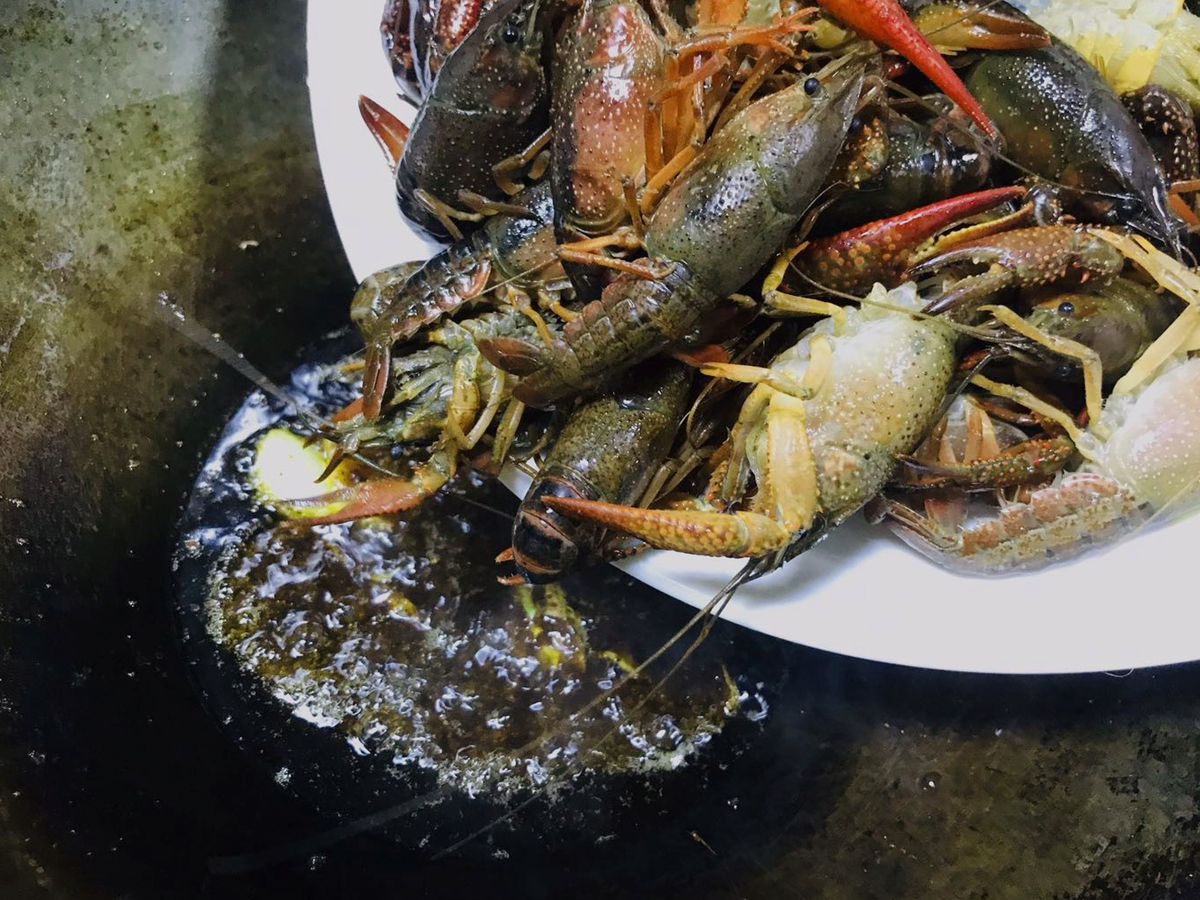 买小龙虾青的好还是红的好,买小龙虾划算还是海虾划算