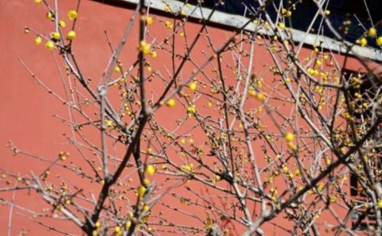 春节三天两晚自由行,假期轻松愉悦的玩耍